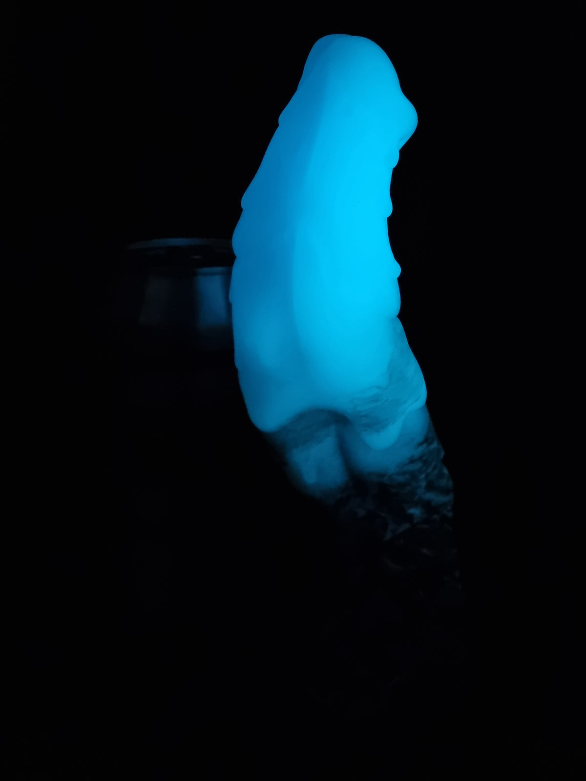 Goopenis [Medium size, Medium EF 0050 firmness] 081