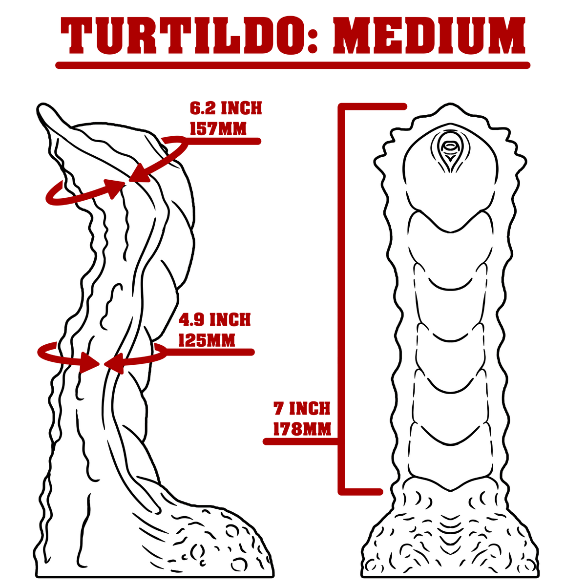 Turtildo [Medium size, Soft EF 0030 firmness] 043